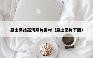 樟树昆虫网站高清照片素材（昆虫图片下载）